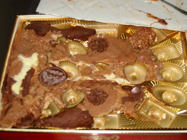 ���͂⌴�^�𗯂߂Ă��Ȃ����́c