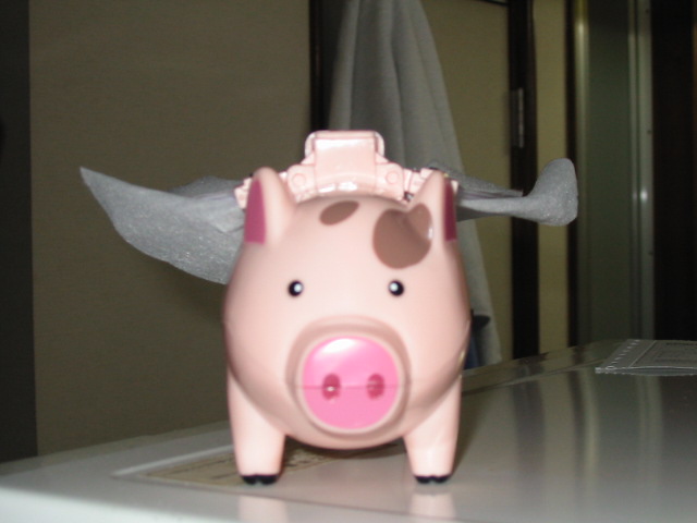 �J�g���[�k