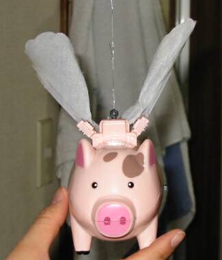 �������L�����J�g���[�k