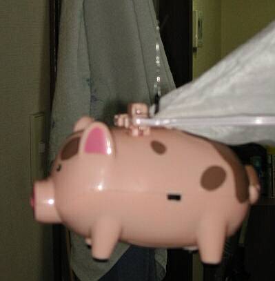 �z�X��������