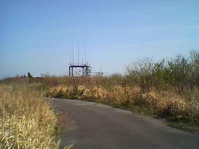 �ǂ����܂������Ă���͗l