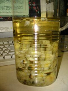 ���Ɛ��e�Ԓ�