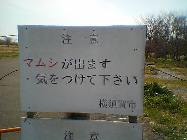 �܂ނ�����