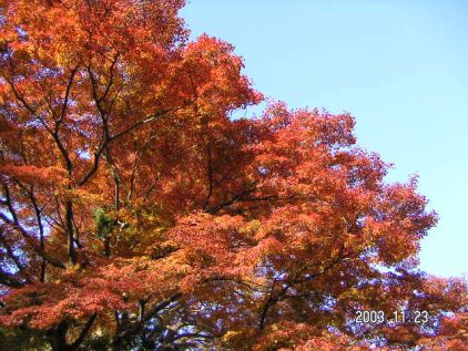 ���݂��` ���݂��`