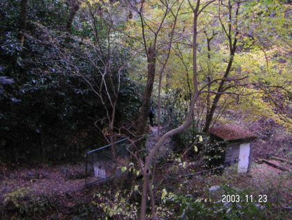 ���\�������c