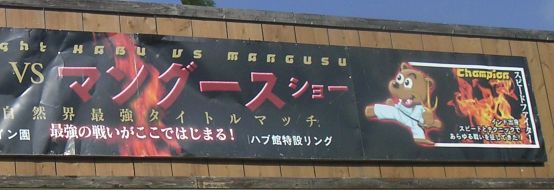 �}���O�[�X