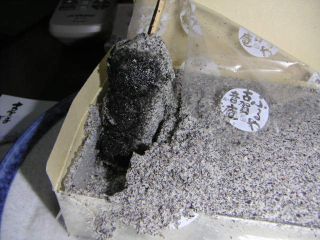 ���񂲔��@