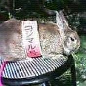 �R�W�}����