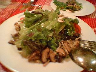 �X�̃L�m�R�̃T���_