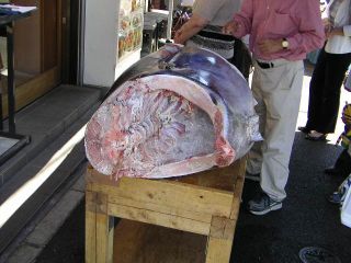 ���̉�́i�O����j