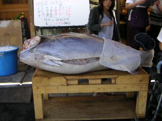 ���̉�́i������j