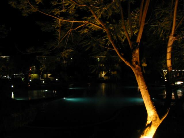 �z�e���̃v�[��