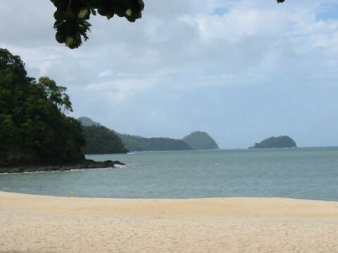 �v���C�x�[�g�r�[�`