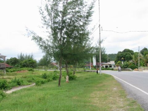 �z�e���O�̓��H