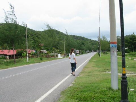 �z�e���O�̓��H