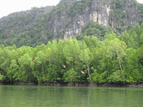 ����Ă����i�΁j