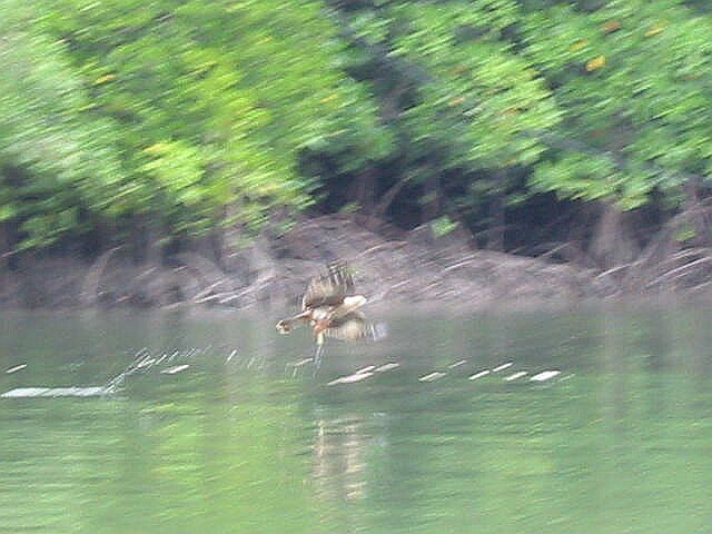 �޻��������(߁��)��������!!