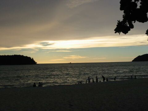 ���͕��Ă����c