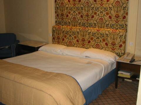 �x�b�h�L�����i�΁j